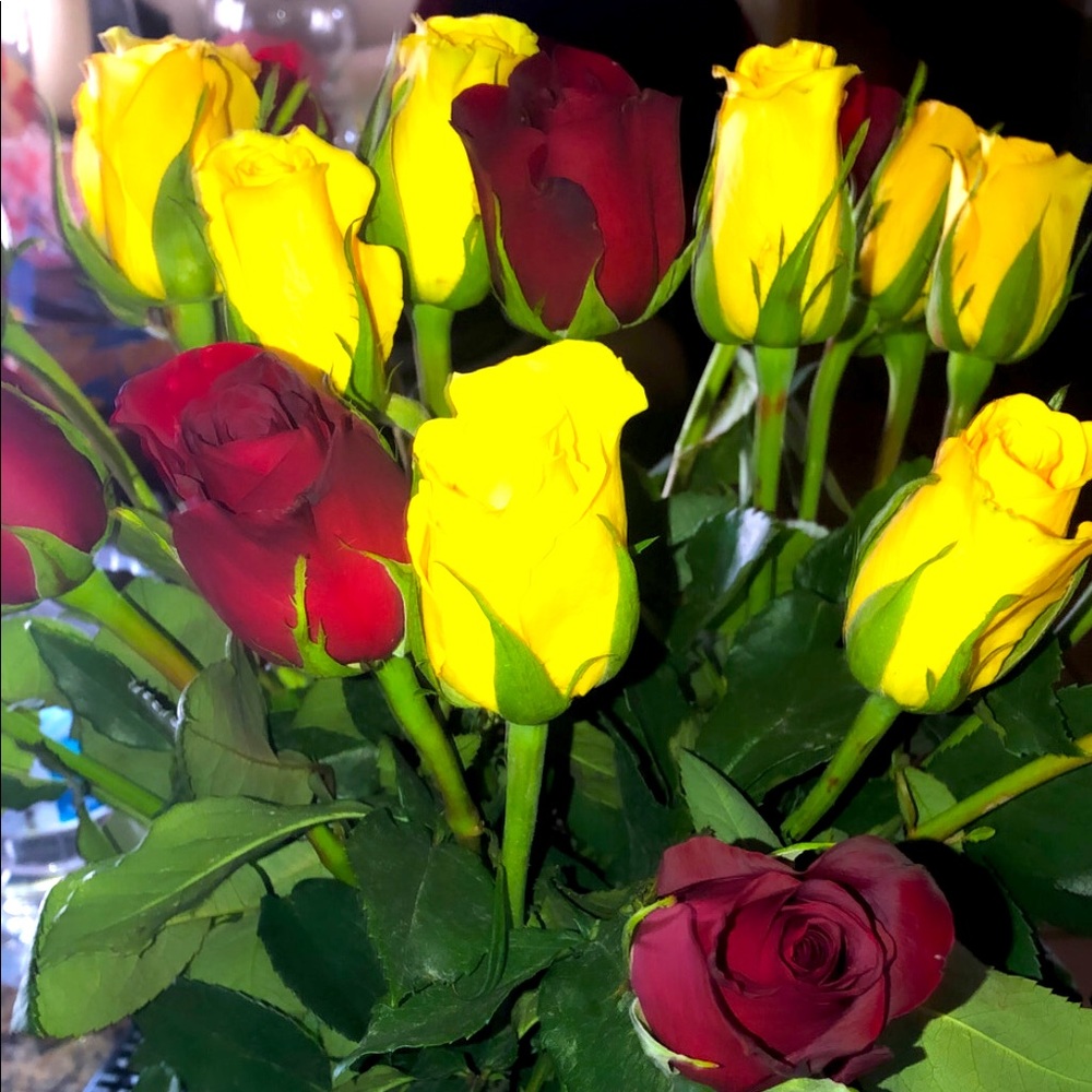 Meet your Posher, Alondra